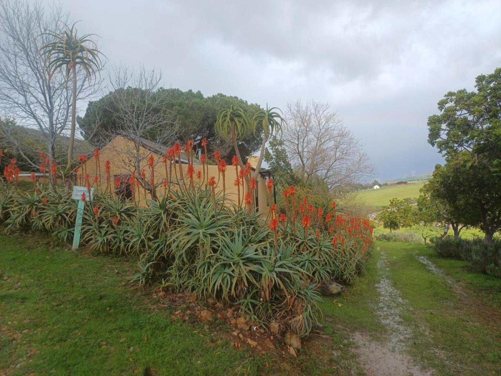 Swaynekloof Farm Villa Botrivier Buitenkant foto